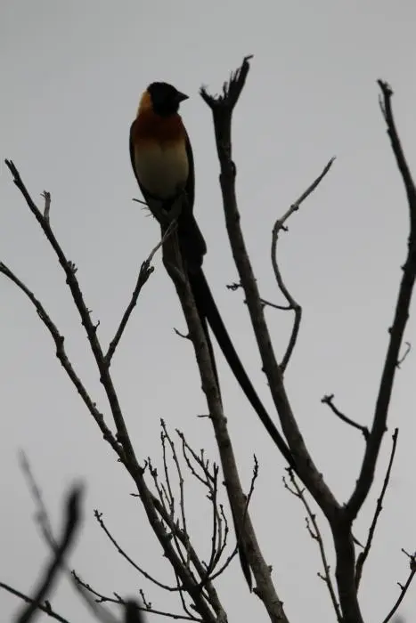 KZN20_jpg(55).jpg