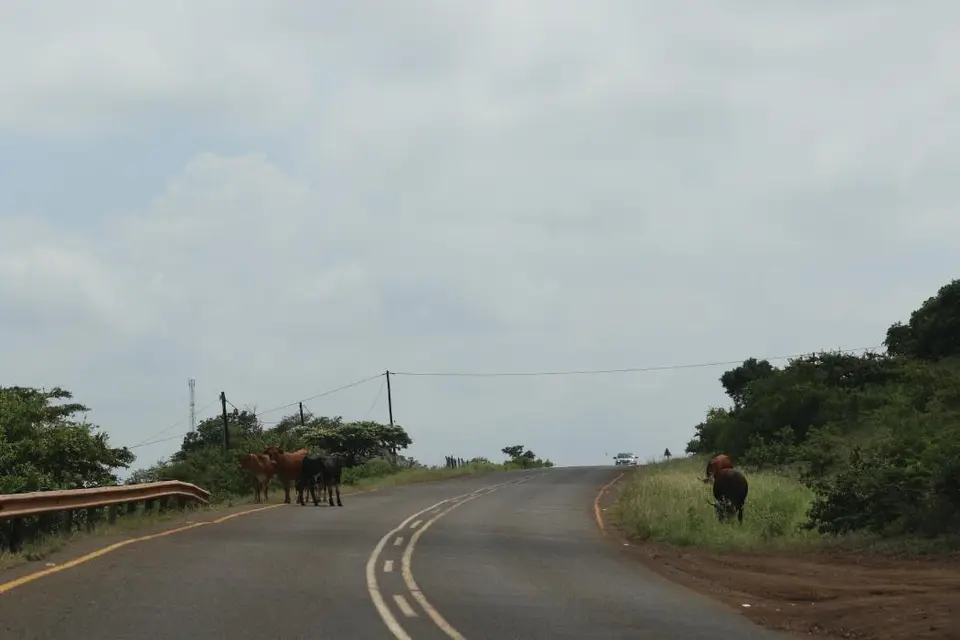 KZN20_jpg(76).jpg