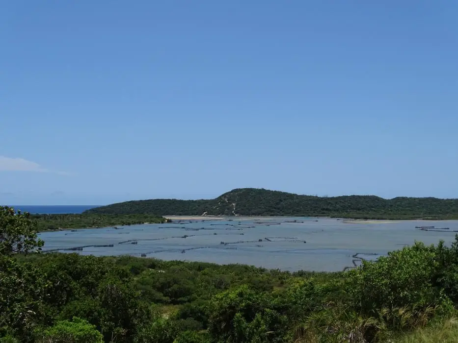 KZN21_jpg(106).jpg