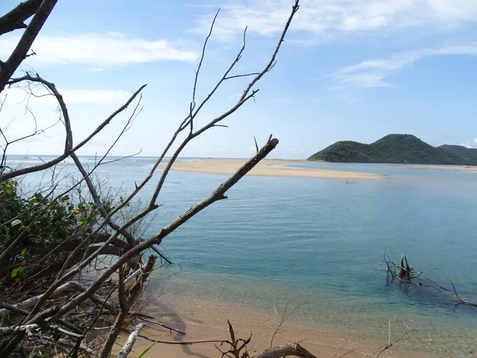KZN21_jpg(24).jpg