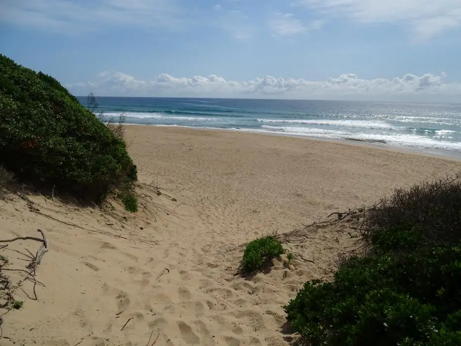 KZN21_jpg(29).jpg