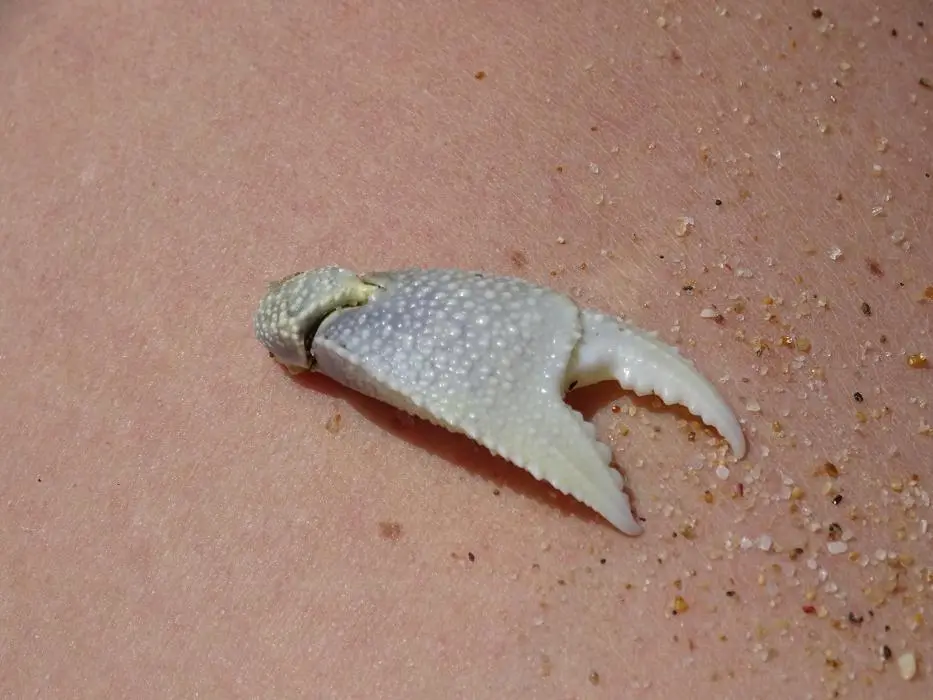 KZN21_jpg(43).jpg