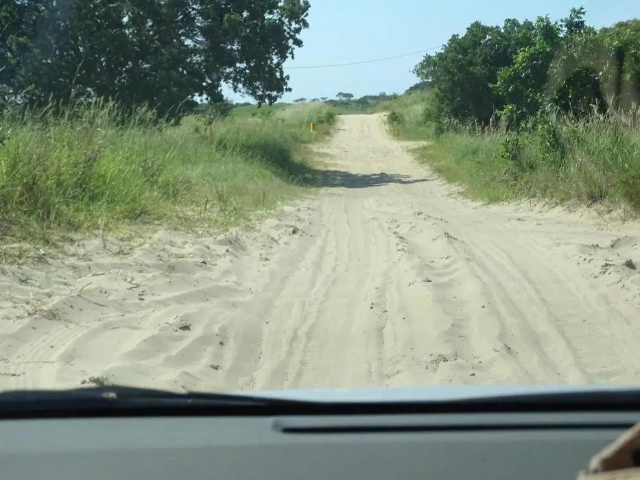 KZN22_005.jpg