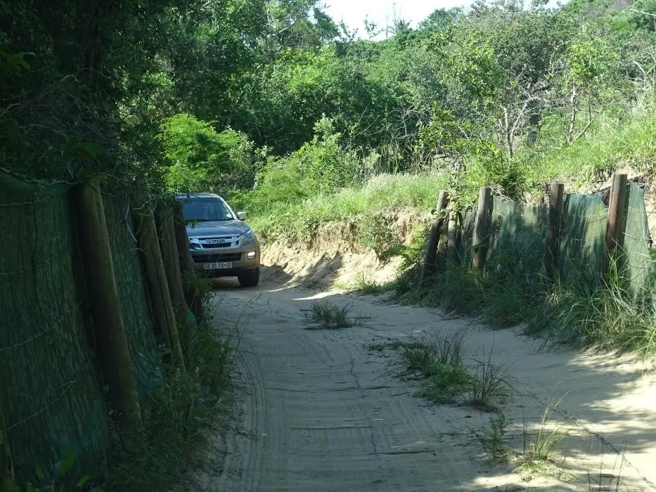 KZN22_008.jpg