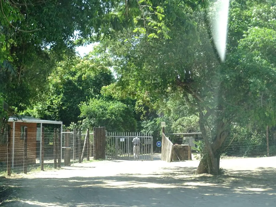 KZN22_009.jpg