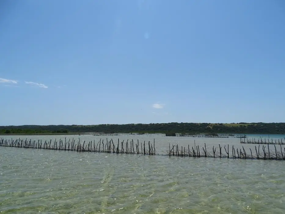 KZN22_077.jpg