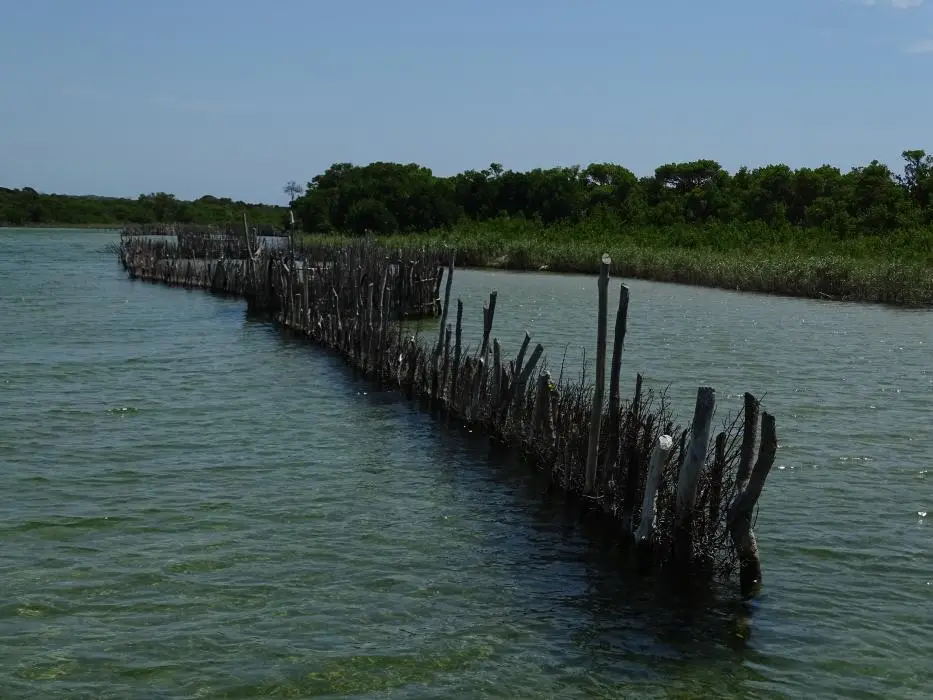 KZN22_081.jpg