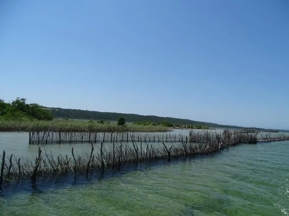 KZN22_084.jpg