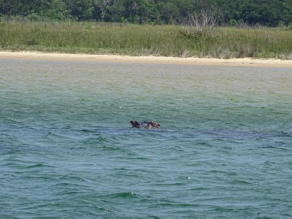 KZN22_102.jpg