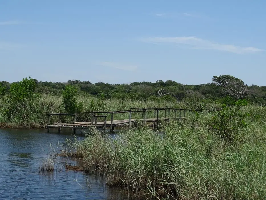 KZN22_141.jpg
