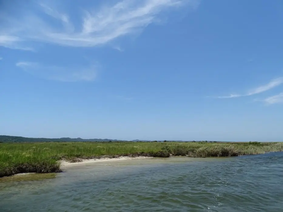 KZN22_149.jpg