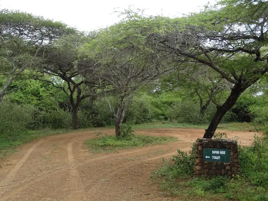 KZN23_.jpg(10).jpg