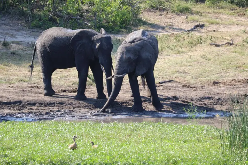 KZN23_.jpg(118).jpg