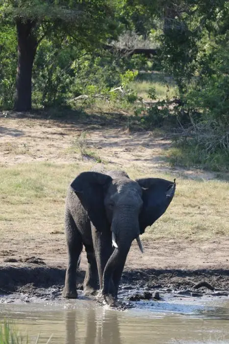 KZN23_.jpg(139).jpg