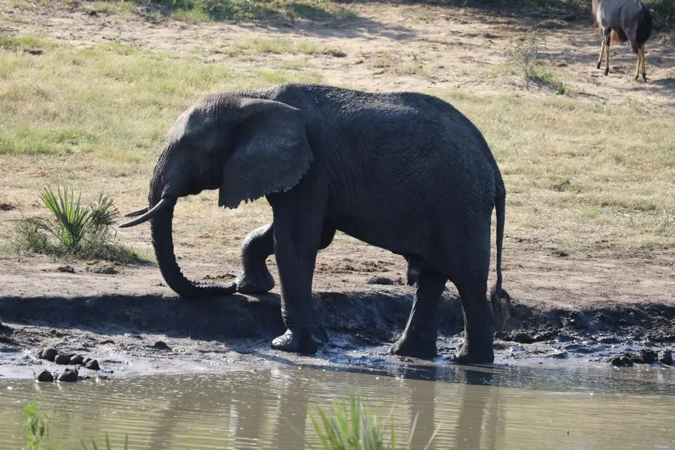 KZN23_.jpg(142).jpg
