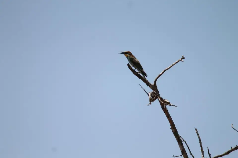 KZN23_.jpg(39).jpg