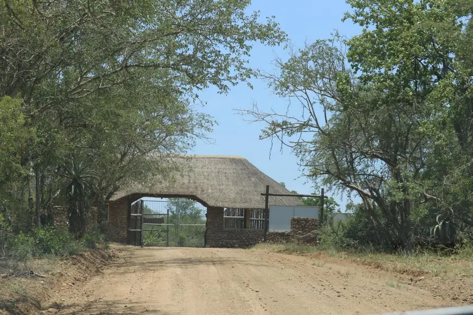 KZN23_.jpg(52).jpg