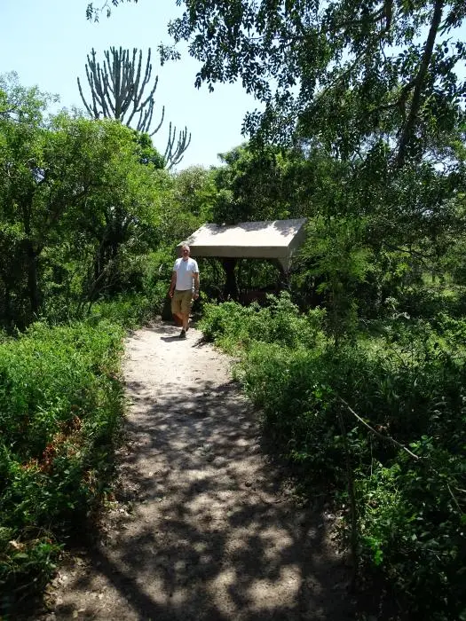KZN23_.jpg(73).jpg