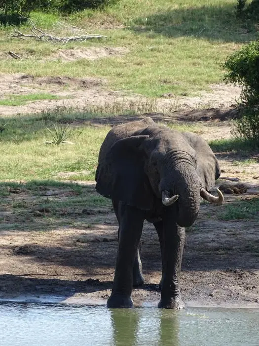 KZN23_.jpg(86).jpg