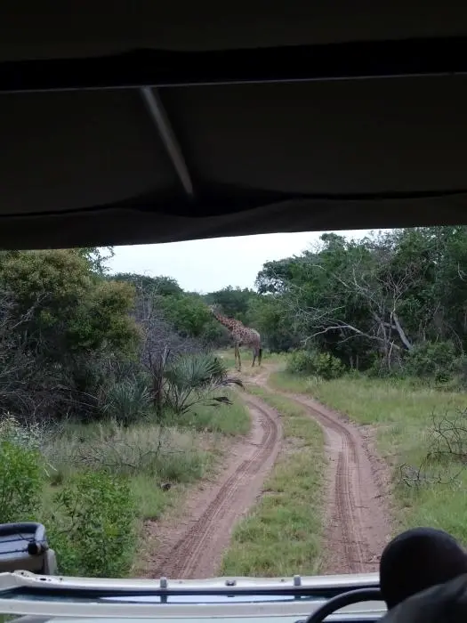 KZN24_jpg(104).jpg