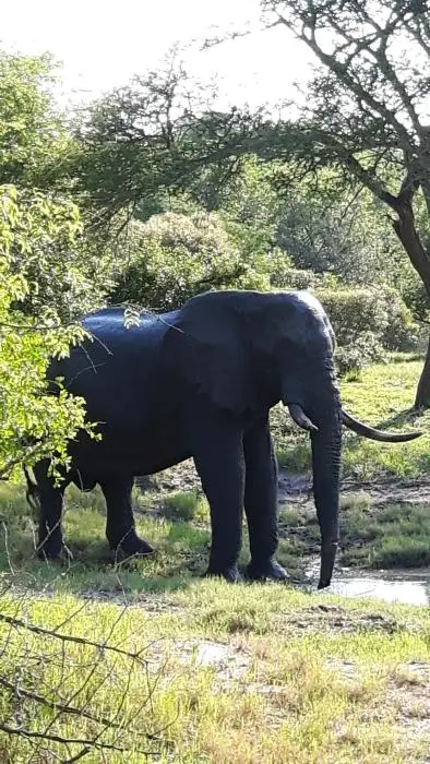 KZN24_jpg(16).jpg