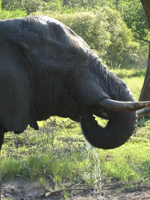 KZN24_jpg(19).jpg