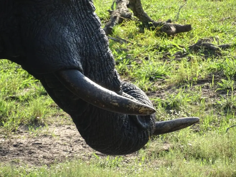 KZN24_jpg(22).jpg