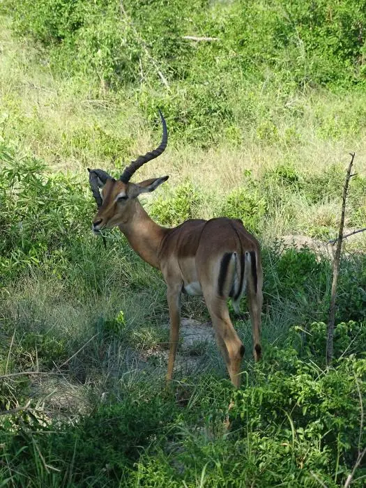 KZN24_jpg(30).jpg