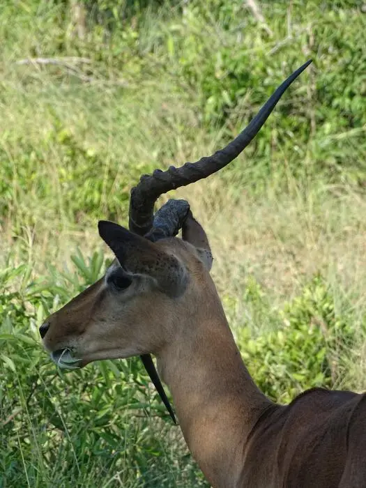 KZN24_jpg(31)-2.jpg