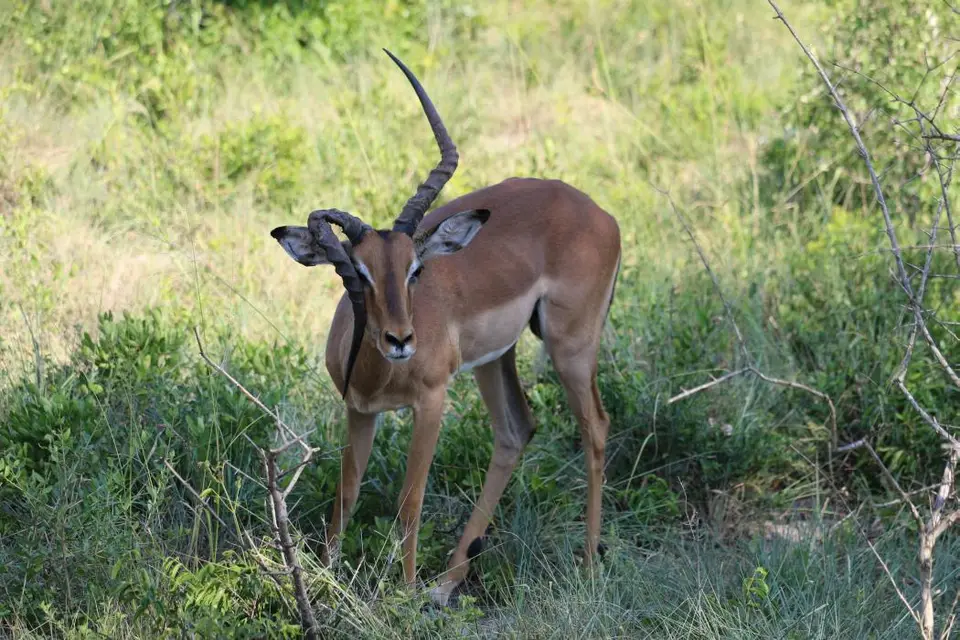 KZN24_jpg(33).jpg