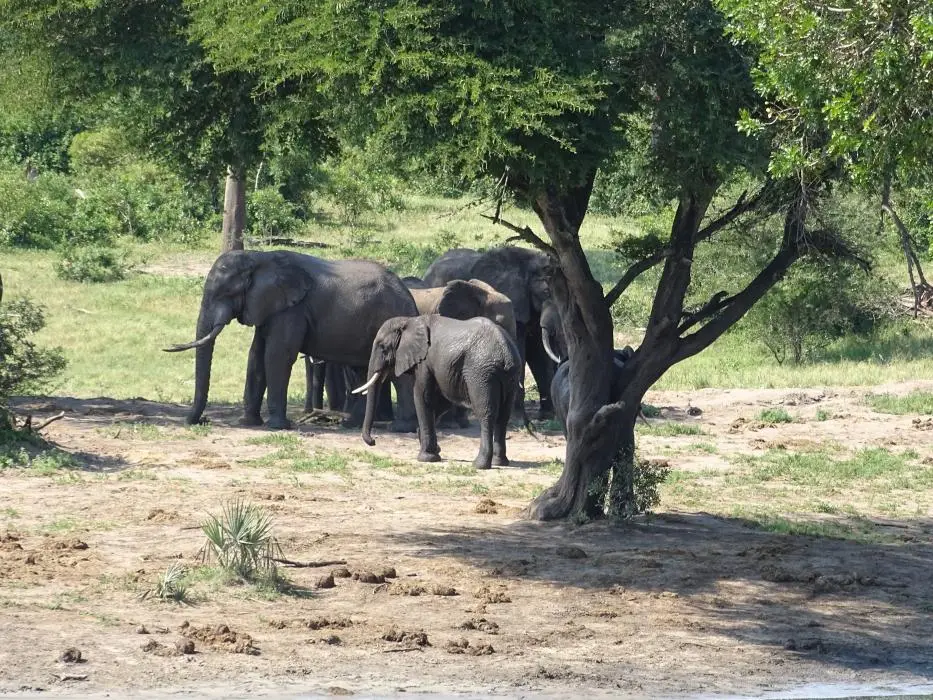 KZN24_jpg(38).jpg