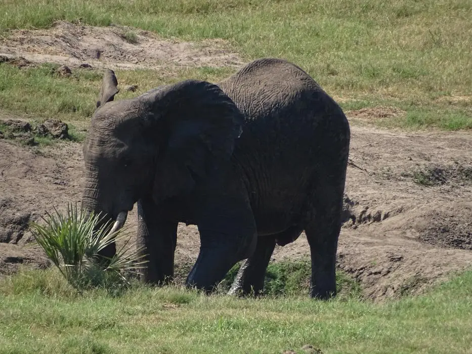 KZN24_jpg(39).jpg