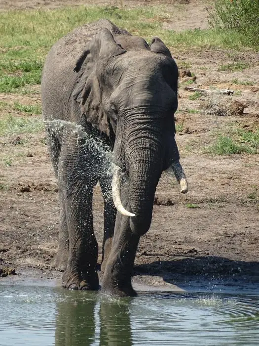 KZN24_jpg(40).jpg