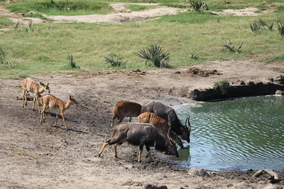 KZN24_jpg(49).jpg