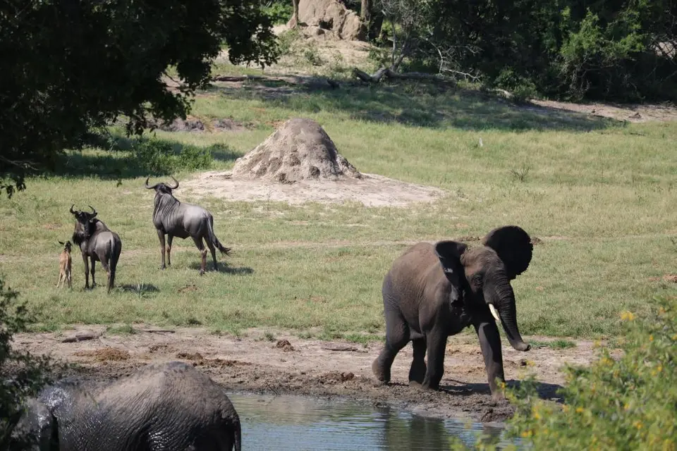 KZN24_jpg(51).jpg