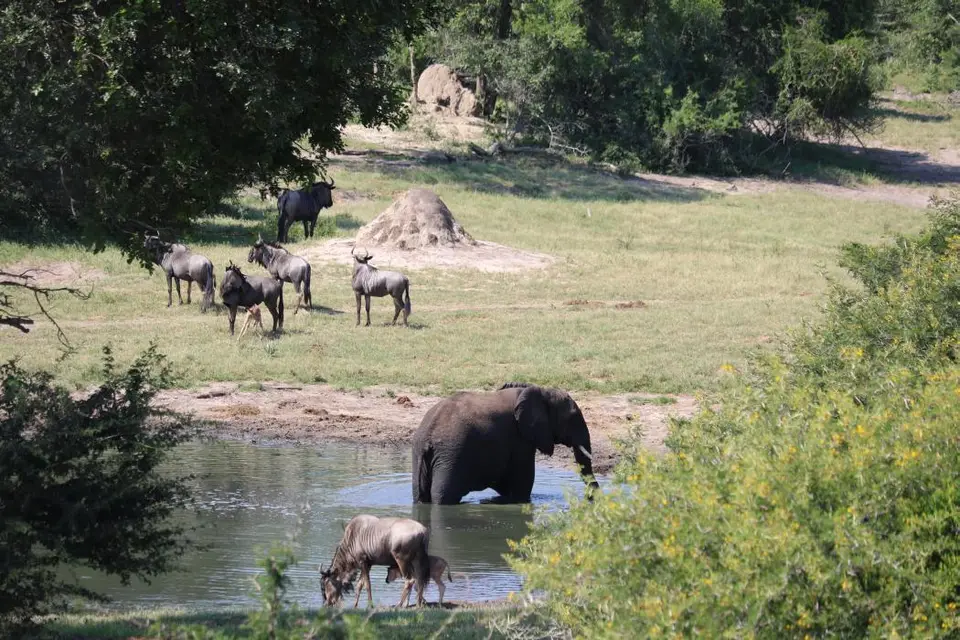 KZN24_jpg(54).jpg