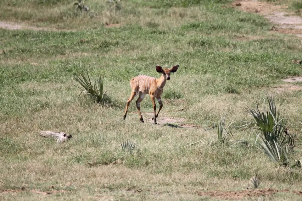 KZN24_jpg(57).jpg