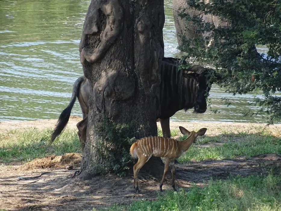 KZN24_jpg(59).jpg