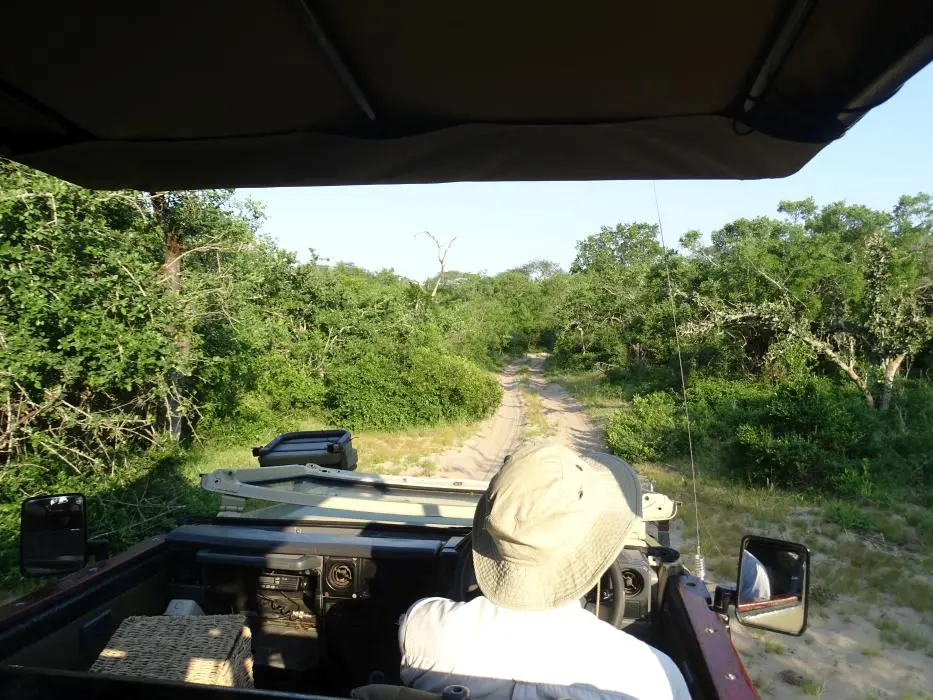 KZN24_jpg(6).jpg