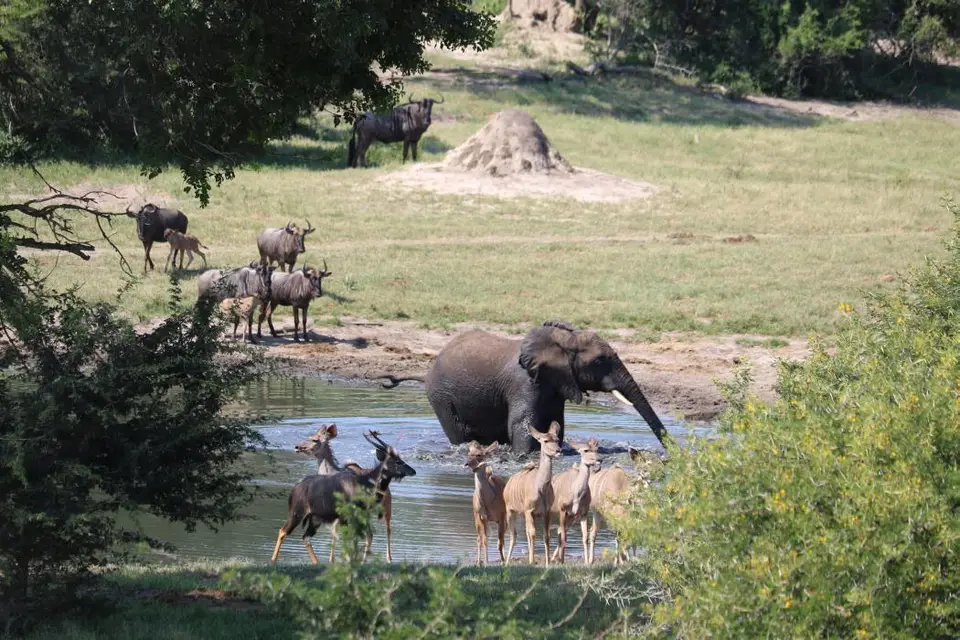 KZN24_jpg(63).jpg