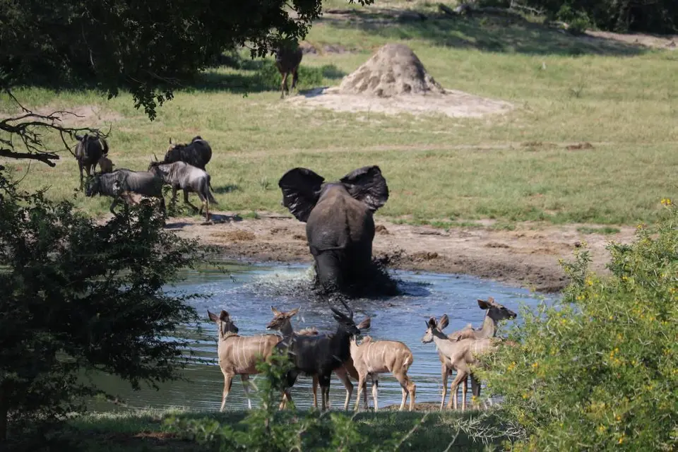 KZN24_jpg(65).jpg