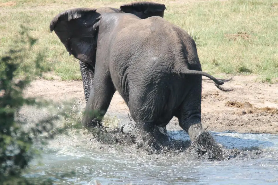 KZN24_jpg(72).jpg