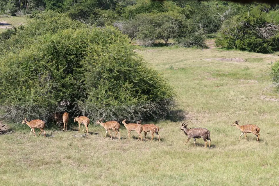 KZN24_jpg(85).jpg
