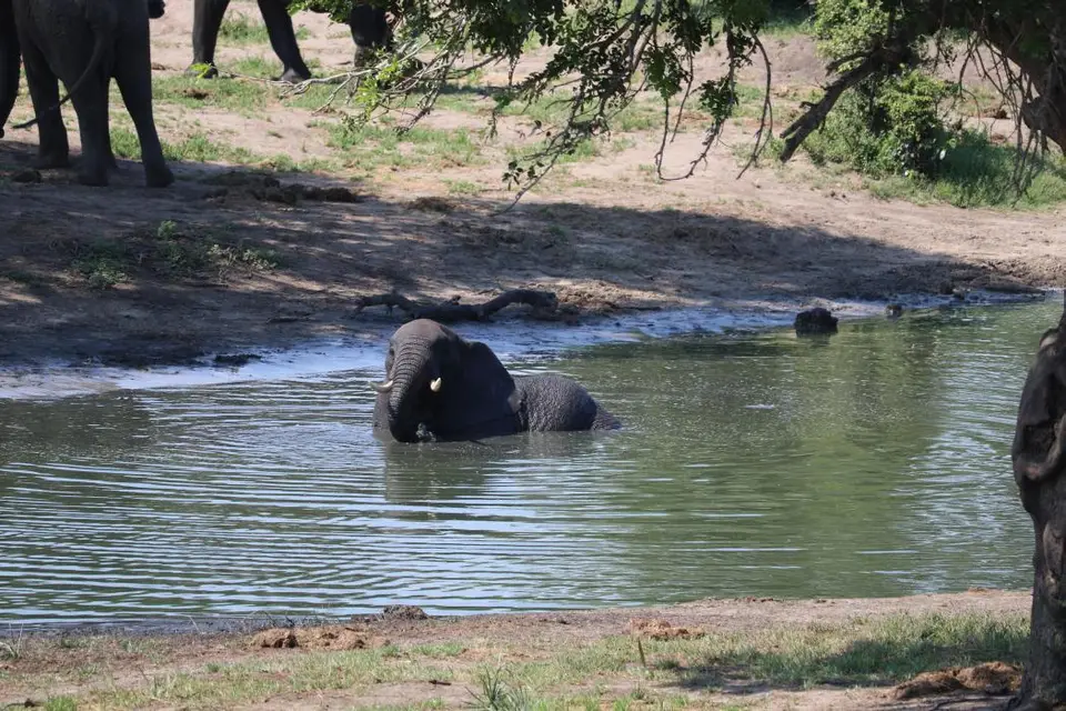 KZN24_jpg(86).jpg
