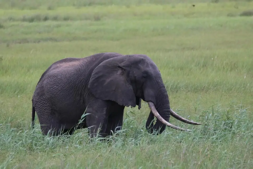 KZN25_jpg(115).jpg