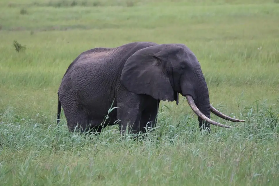 KZN25_jpg(116).jpg