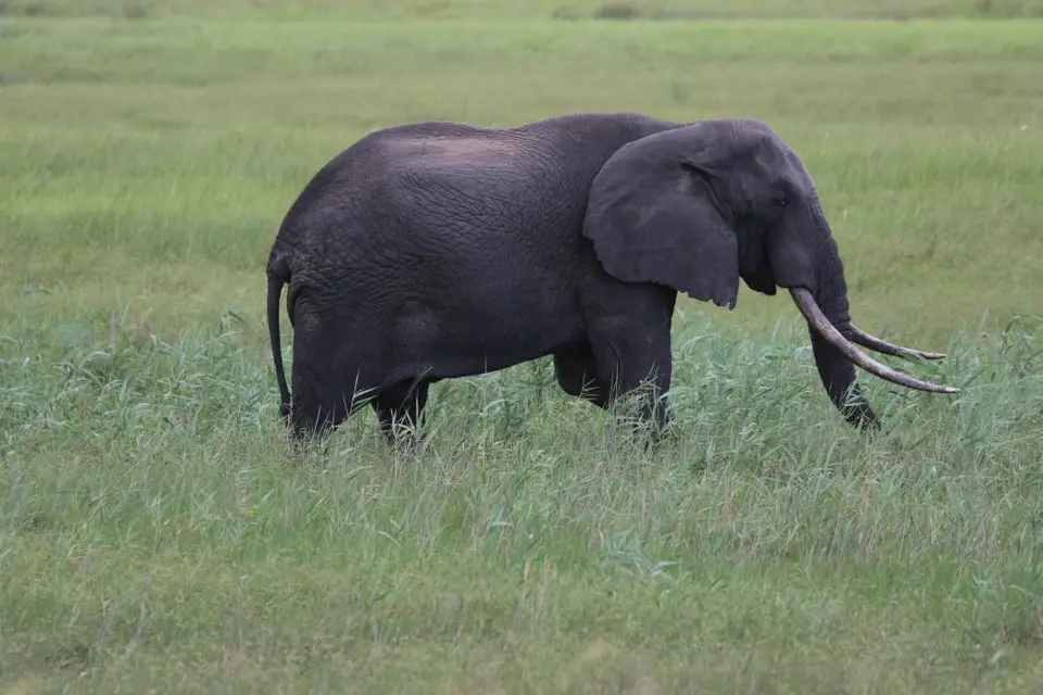 KZN25_jpg(120).jpg