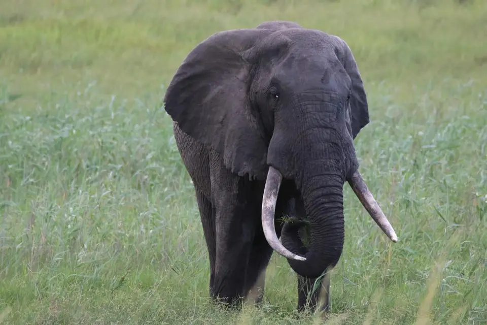 KZN25_jpg(124).jpg