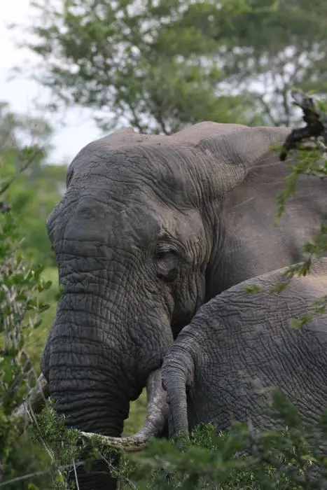 KZN25_jpg(144).jpg