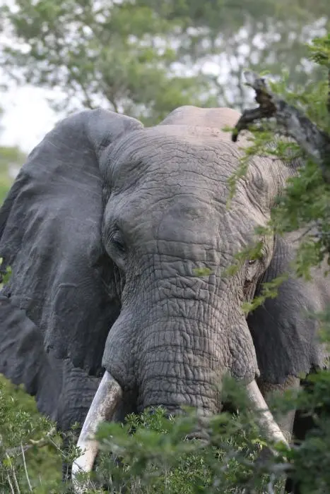 KZN25_jpg(145).jpg